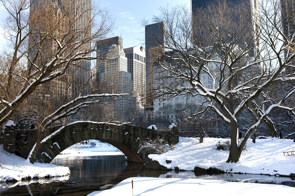 центральный парк в нью йорке зимой
