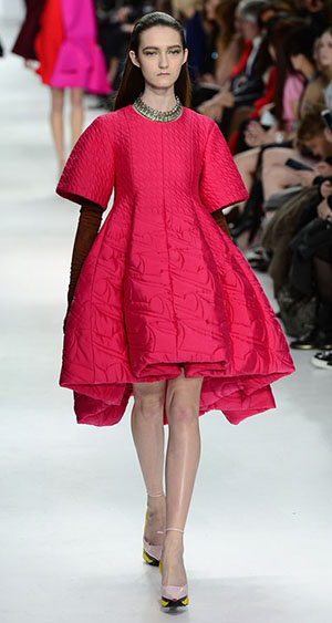 Christian Dior : Runway - Paris Fashion Week Womenswear Fall/Winter 2014-2015