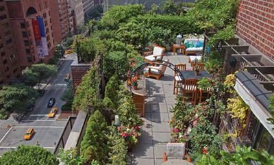 Rooftop-Gardens-book-streetview-537x324
