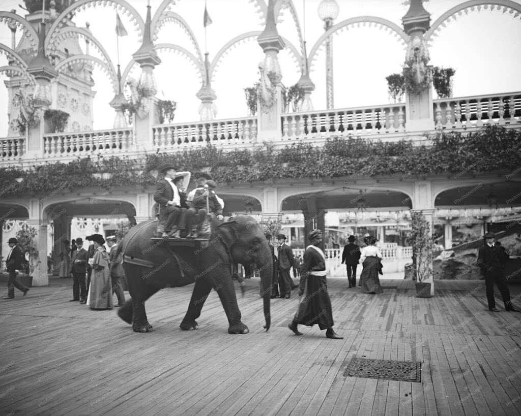 2-Here is a neat collectible featuring a family elephant ride on Coney Island during the early 1900s.