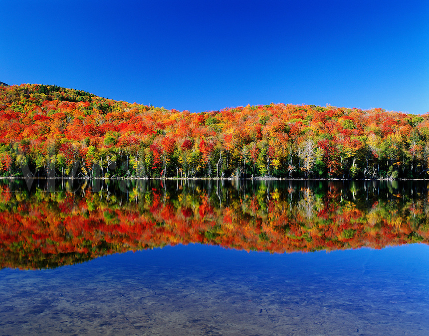 USA, New York, Adirondack State Park. Autumn colors reflected in Heart lake