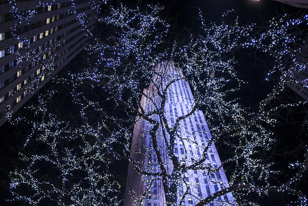 img_8794